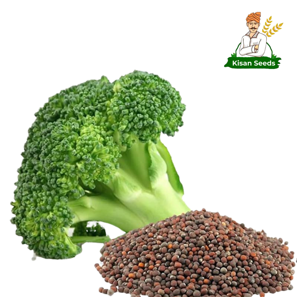 Broccoli