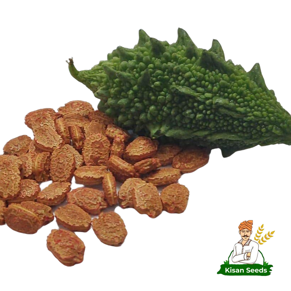 Bitter Gourd