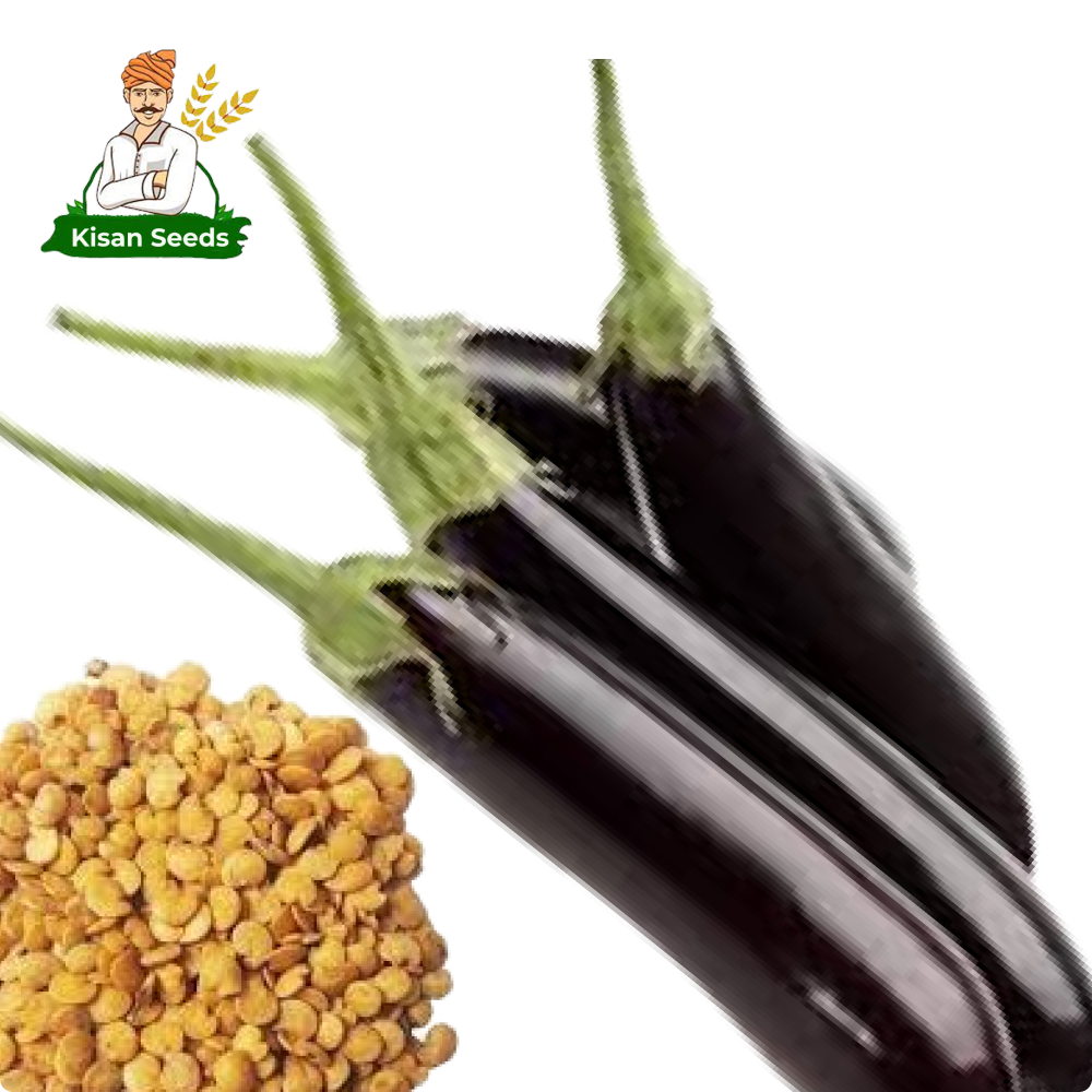 Brinjal
