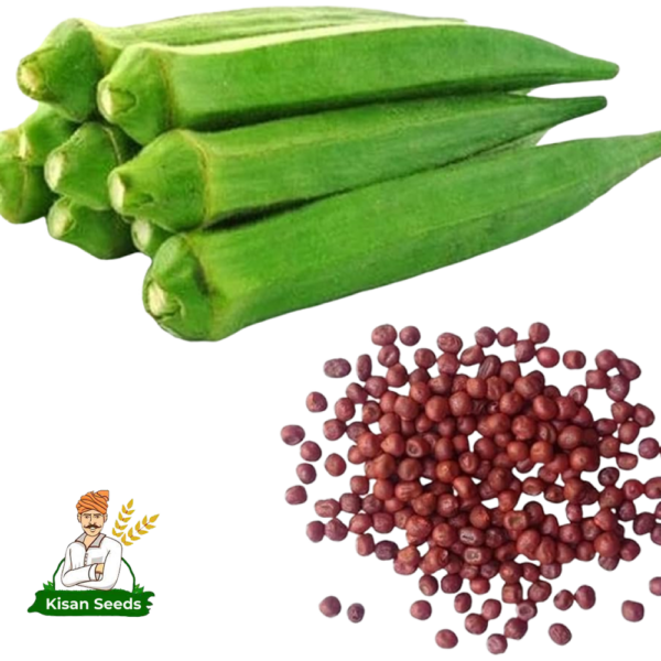 Lady Finger (Okra)