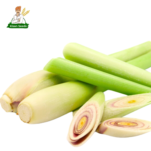 Lemongrass - Image 3