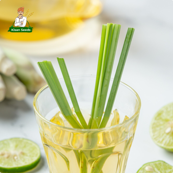Lemongrass - Image 4