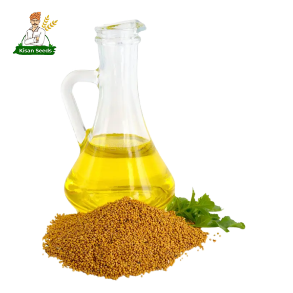Organic Mustard Seed - Image 5