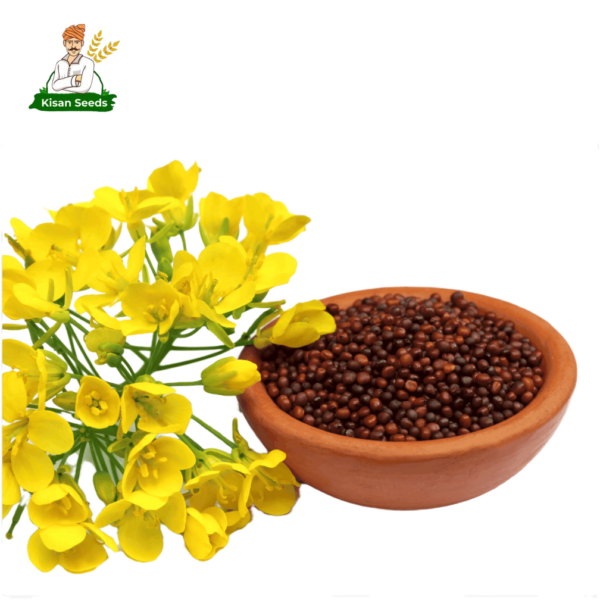 Organic Mustard Seed