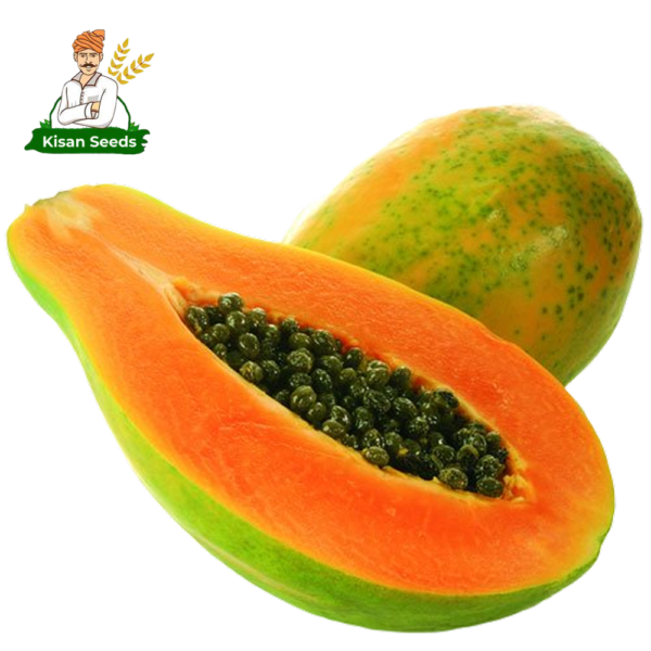 Papaya