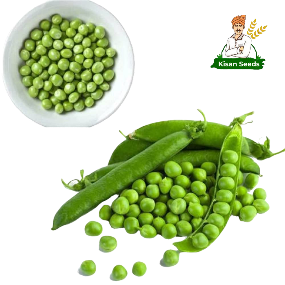 Green Pea
