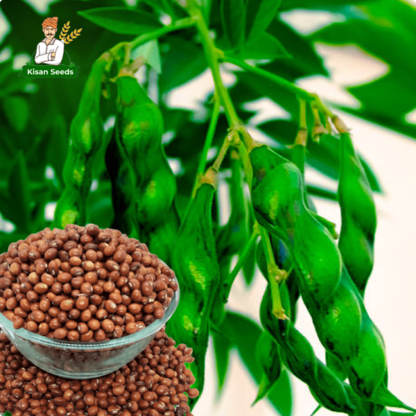 Organic Arhar (Toor Dal) Seed